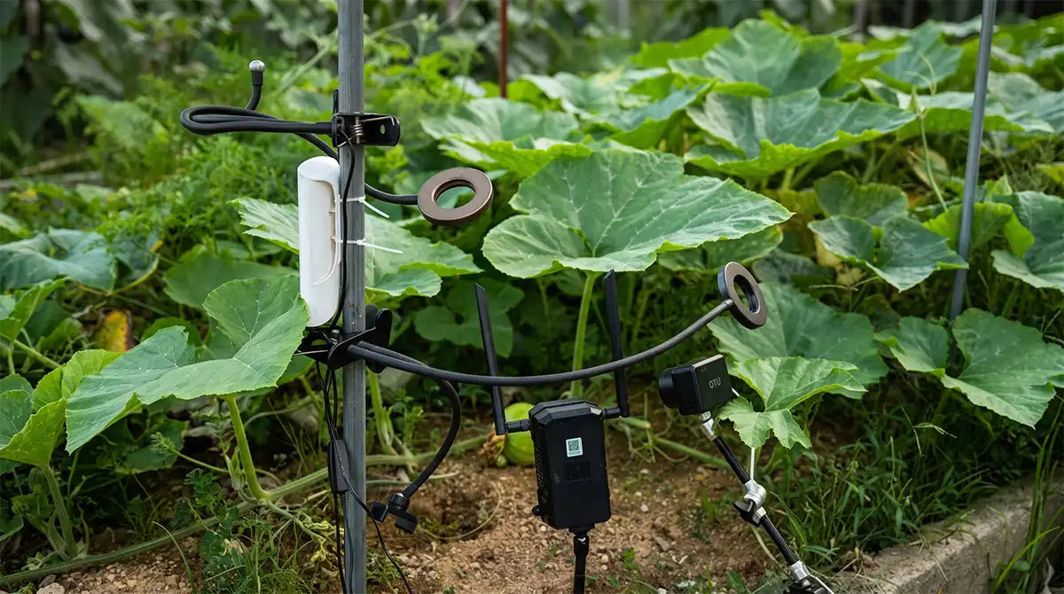 Build an Outdoor Plant Timelapse System with E10