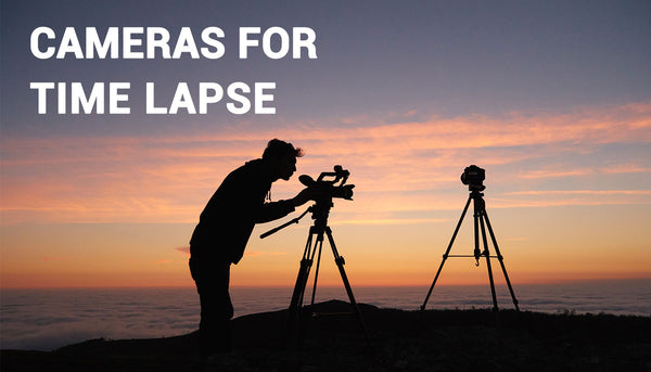 How to choose time lapse cameras?