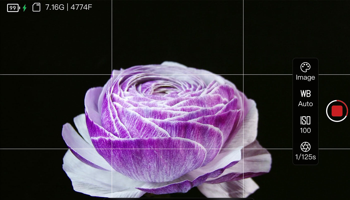 Creating Stunning Flower Time Lapse Videos: 4 Essential Tips